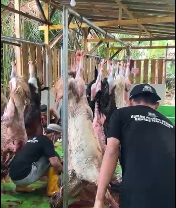 kegiatan penyembelihan hewan di RPH Bandar Pemalang